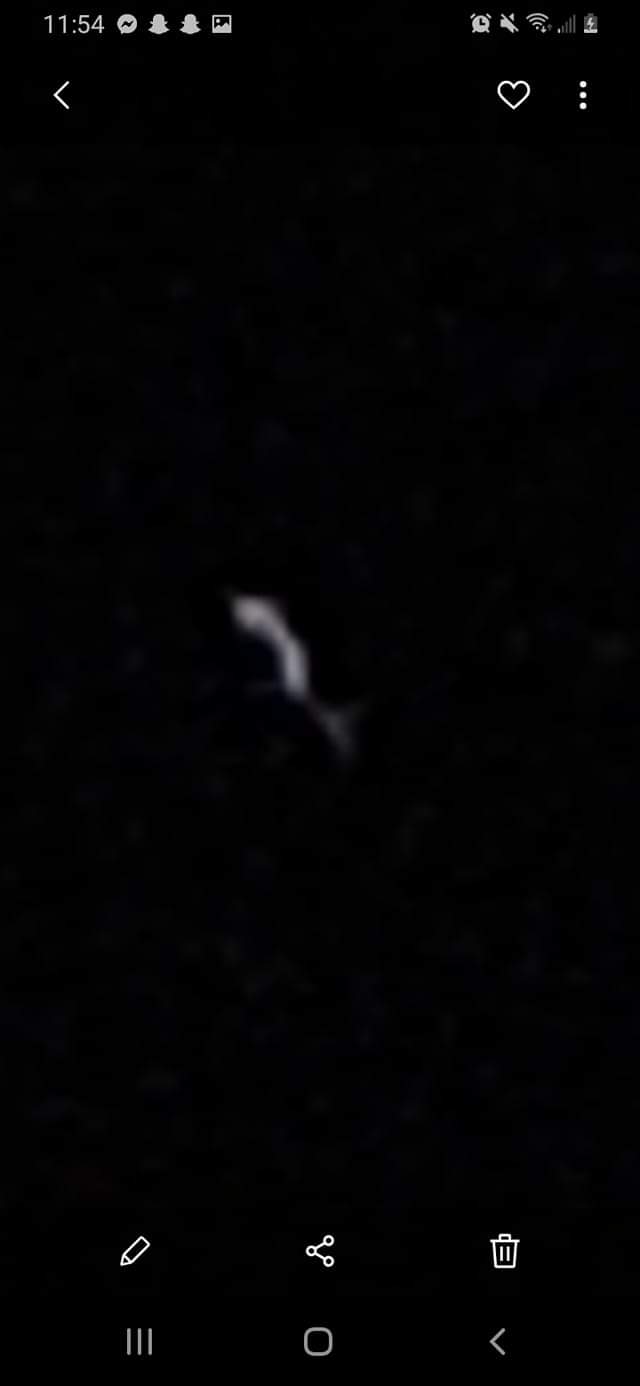 93409517_2695407130586343_8621645435057995776_o